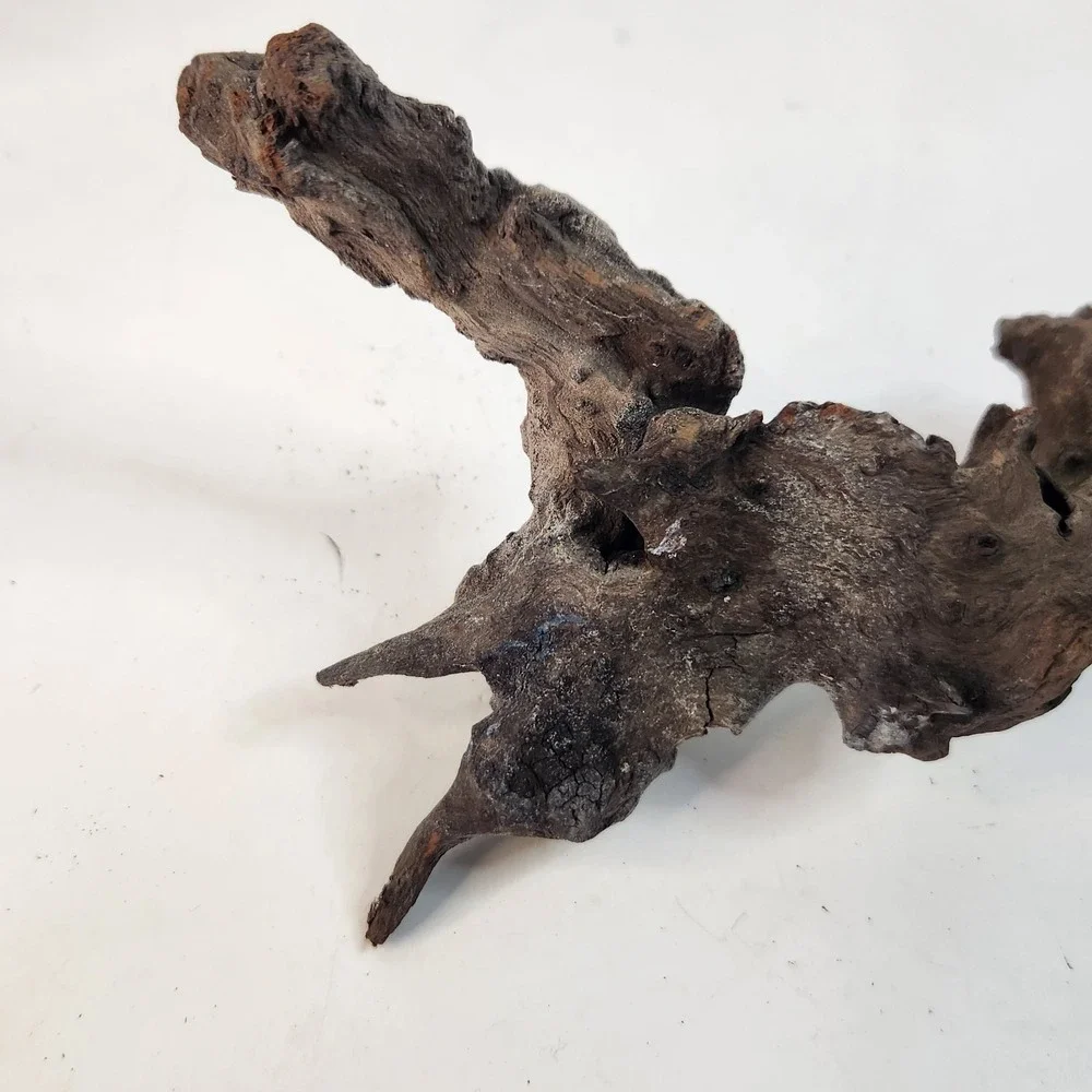 Natural driftwood for aquarium/terrarium/arts and crafts/Taxidermy 12.25